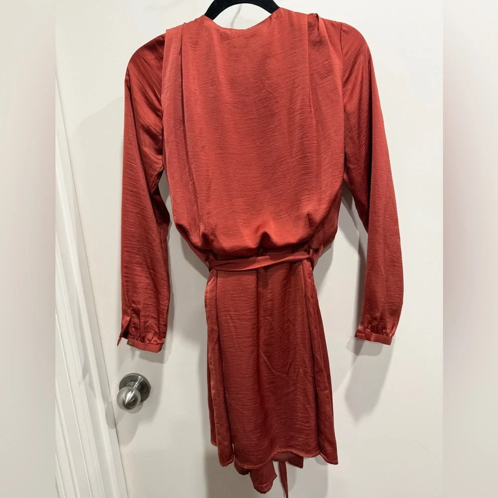 Kittenish Rust Red Satin Drape dress - Picture 3 of 6
